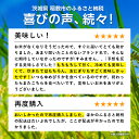 【ふるさと納税】【令和5年産】茨城県産しきゆたか10kg(5kg×2袋)【配送不可地域：離島・沖縄県】【1083439】 2