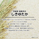 【ふるさと納税】【令和5年産】茨城県産しきゆたか10kg(5kg×2袋)【配送不可地域：離島・沖縄県】【1083439】 3