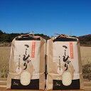 【ふるさと納税】【令和元年産】茨城県稲敷市産コシヒカリ10k...