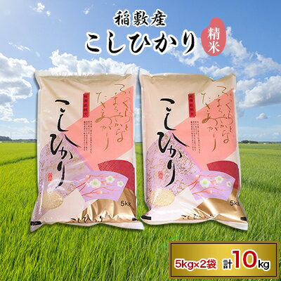 【ふるさと納税】新米【令和4年産】稲敷産こしひかり10kg(5kg×2袋)【1092022】