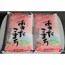 【ふるさと納税】【令和2年産】稲敷産あきたこまち10kg(5