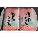 【ふるさと納税】稲敷産あきたこまち　計10kg(5kg×2袋)【1098180】