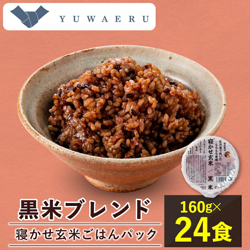 寝かせ玄米ごはんパック 黒米ブレンド [160g×24食]_ ごはんパック ご飯 パックご飯 玄米 玄米ごはん 米 24食 寝かせ玄米 レンジ 簡単 便利 手軽 保存食 備蓄 常温保存 レトルト 黒米 ギフト 自宅用 送料無料 [配送不可地域:離島・沖縄県]
