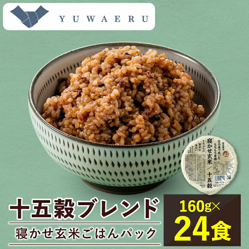 寝かせ玄米ごはんパック 十五穀ブレンド[160g×24食]_ ごはんパック ご飯 パックご飯 玄米 玄米ごはん 米 24食 寝かせ玄米 レンジ 簡単 便利 保存食 備蓄 常温保存 レトルト 十五穀 ギフト 自宅用 送料無料 [配送不可地域:離島・沖縄県]