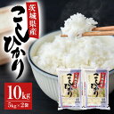 【ふるさと納税】【令和5年産】茨城県稲敷市産こしひかり10k