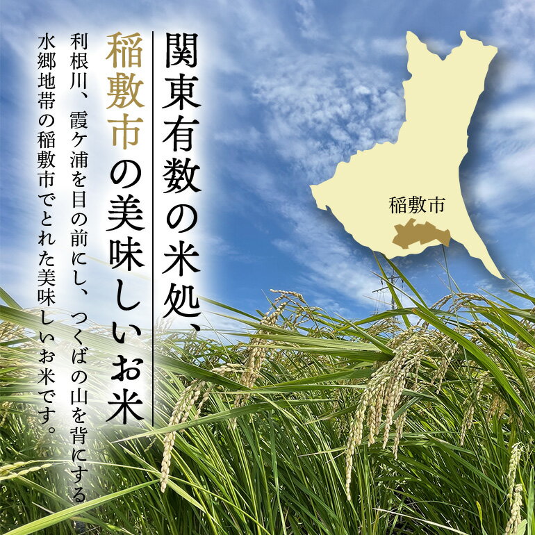 【ふるさと納税】【令和5年産】稲敷産こしひかり10kg(5kg×2袋)【配送不可地域：離島・沖縄県】【1092022】