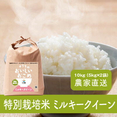 【ふるさと納税】【令和4年産特別栽培米・自家栽培・自家精米で直送】稲敷市産ミルキークイーン10kg(5kg×2袋)【1347302】のサムネイル