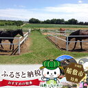 【ふるさと納税】初心者体験乗馬チャレンジ3回コース...