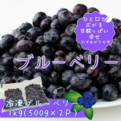 【ふるさと納税】冷凍ブルーベリー1kg(500g×2パック)【配送不可地域:離島】【1108080】