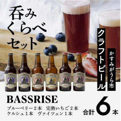 クラフトビール6本セット(ブルーベリー、完熟いちご各2本/ケルシュ、ヴァイツェン各1本)