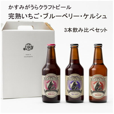 17位! 口コミ数「1件」評価「2」クラフトビール3本セット(ブルーベリー・完熟いちご・ケルシュ)【1301706】