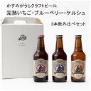 1位! 口コミ数「1件」評価「2」クラフトビール3本セット(ブルーベリー・完熟いちご・ケルシュ)【1301706】