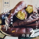 名称 しっとり甘い『紅はるか』の冷凍熟成焼き芋　2Kg　 保存方法 冷凍 発送時期 2024年5月より順次発送※生産・天候・交通等の事情により遅れる場合があります。 提供元 かすみがうら未来づくりカンパニー 配達外のエリア 離島 お礼品の特徴 より安全な土壌作りにこだわった茨城県産の紅はるかを低温熟成後、丁寧に焼き上げ、美味しさそのままに冷凍しています。焼きたての美味しさをそのまま冷凍しているので、冷蔵庫で解凍するだけで、冷たいまま美味しく召し上がれます。 また、解凍後オーブンやトースターで20分程度焼いていただくだけで、あつあつの焼き芋もお召し上がりいただけます。 添加物を一切使用していないので、お子様からご年配の方にもおすすめです。 ■お礼品の内容について ・冷凍熟成焼き芋『紅はるか』[500g×4袋] 　　原産地:茨城県 　　賞味期限:発送日から3ケ月 ■原材料・成分 さつまいも【紅はるか】 ■注意事項/その他 ※農産物のためサイズにバラツキがございます。ご了承ください。 ※収穫の際、皮の一部が破けて蜜の成分が出てしまい、砂などが付着し黒く固まる場合がございます。 　その部分の皮は召し上がらないようお願いいたします。 ※保存は冷凍庫にてお願いいたします。 ※解凍後の再冷凍はしないでください。 ※解凍後はお早めにお召し上がりください。 ※画像はイメージです。 ・ふるさと納税よくある質問はこちら ・寄附申込みのキャンセル、返礼品の変更・返品はできません。あらかじめご了承ください。このお礼品は以下の地域にはお届けできません。 ご注意ください。 離島