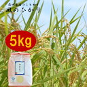 【ふるさと納税】茨城県産コシヒカリ風のひかり5kg【1342907】