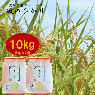 【ふるさと納税】令和4年産茨城県産コシヒカリ風のひかり10kg(5kg×2袋)【13...