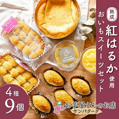 49位! 口コミ数「0件」評価「0」茨城県かすみがうら市産の熟成「紅はるか」を使用した、おいもスイーツセット　4種計9個【配送不可地域：離島】【1368417】