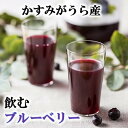 27位! 口コミ数「0件」評価「0」かすみがうら産　飲むブルーベリー　180ml×12本【1377970】