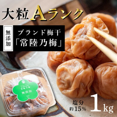 【ふるさと納税】『常陸乃梅』 大粒Aランク梅干し 1Kg 無添加 茨城県産【1386091】