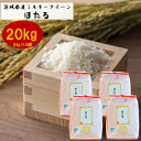 【ふるさと納税】茨城県産ミルキークイーンほたる20kg(5kg×4袋)【1396023】