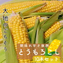 【ふるさと納税】マルカファームの朝採れ「とうもろこし」10本セット【配送不可地域:離島・沖縄県】【1404268】
