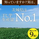 茨城県かすみがうら市の画像2