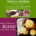 茨城県かすみがうら市の画像3