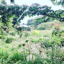 茨城県かすみがうら市の画像3