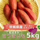 【ふるさと納税】【茨城県産】生さつまいも 紅はるか 5Kg【1437615】(4)