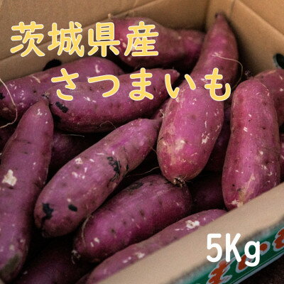 【茨城県産】生さつまいも 紅はるか 5Kg【1437615】