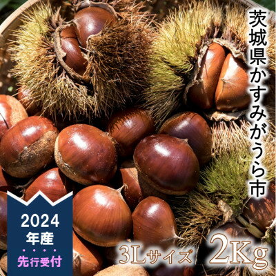 【ふるさと納税】【先行予約】かすみがうら市産　生栗　3Lサイズ　2kg【配送不可地域：離島】【1437715】