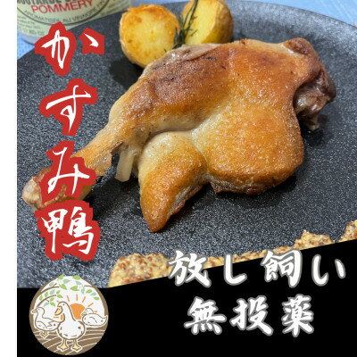 名称 かすみ鴨骨付きモモ肉のコンフィ(2本) 保存方法 冷凍 発送時期 2024年5月より順次発送※生産・天候・交通等の事情により遅れる場合があります。 提供元 株式会社西崎ファーム 配達外のエリア 離島 お礼品の特徴 〈特徴〉 広々とした農場で太陽の光と水を心ゆくまで浴び、ゆったりのんびりと育ったかすみ鴨のモモ肉を香辛料とハーブと共にじっくり7時間真空低温調理しました。 皮目から出た旨味たっぷりの脂で煮込むことで、しっとりジューシーながら程良い噛み応えのある上質な逸品に仕上がっております。 〈オススメの食べ方〉 冷蔵庫で解凍後、沸騰しない程度の約85度で10～15分湯煎。フライパンで軽く焼き色を付けてお召し上がりください。マスタードなどを添えて召し上がるとより美味しく召し上がれます。 〈保存方法〉 冷凍 〈包装方法〉 個包装 ■お礼品の内容について ・かすみ鴨骨付きモモ肉のコンフィ[約200～250g×2本] 　　原産地:茨城県/加工地:茨城県かすみがうら市 　　賞味期限:発送日から2か月程度(冷凍保存) ■注意事項/その他 ※画像はイメージです。 ※お届けは、かすみ鴨骨付きモモ肉のコンフィ2本のみです。その他のものはお礼品に含まれません。 ■原材料:お礼品に記載 ※アレルギー物質などの表示につきましては、お礼品に記載しています。 ・ふるさと納税よくある質問はこちら ・寄附申込みのキャンセル、返礼品の変更・返品はできません。あらかじめご了承ください。このお礼品は以下の地域にはお届けできません。 ご注意ください。 離島