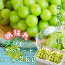 【ふるさと納税】茨城県かすみがうら市産シャインマスカット　約2Kg (3～5房)【配送不可地域：離島】【1474047】