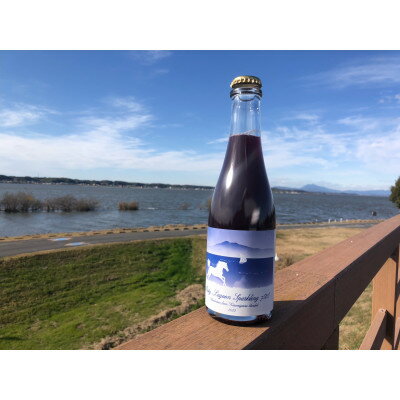 かすみがうら市産ブルーベリーをブレンドしたスパークリングワイン　375ml【配送不可地域：離島】【1476395】