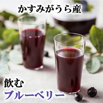 かすみがうら市産 飲むブルーベリー 1L×2本