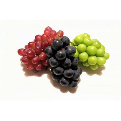 【ふるさと納税】大房ぶどう品種ランダム 3房×700g 茨城県内共通返礼品:かすみがうら市【配送不可地域:離島・沖縄県】【1562855】