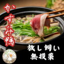 【ふるさと納税】鴨鍋の素2人前 鴨スープ500gと鴨モモ肉1羽分(400〜450g)のセット【配送不可地域:離島】【1577229】