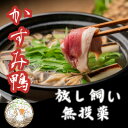【ふるさと納税】鴨鍋の素4人前 鴨スープ1kgと鴨モモ肉2羽分(計800〜900g)のセット【配送不可地域:離島】【1577230】