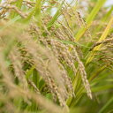 茨城県かすみがうら市の画像3