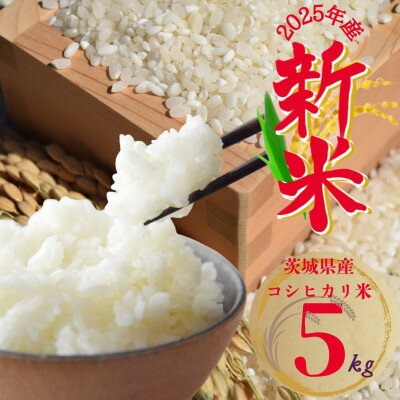 【ふるさと納税】2025年新米 茨城県産 コシヒカリ米(精米)5kg【1620168】