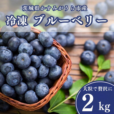 【ふるさと納税】冷凍ブルーベリー2kg(500g×4パック)【配送不可地域：離島】【1761153】