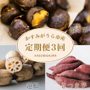 【ふるさと納税】【発送月固定定期便】茨城県 特産品3種全3回【配送不可地域:離島】【4062740】