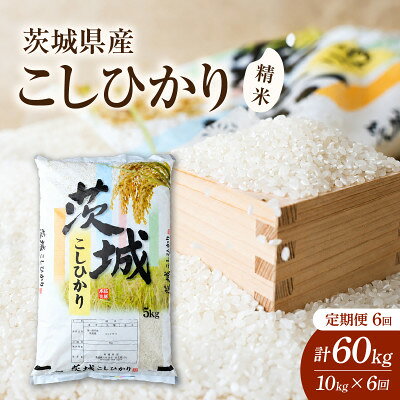 【毎月定期便】茨城県かすみがうら産 コシヒカリ 精米 10kg全6回【4075581】