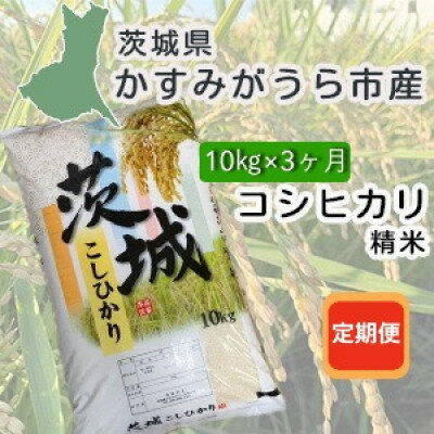 【ふるさと納税】【毎月定期便】茨城県かすみがうら産 精米 コシヒカリ10kg全3回【4076524】