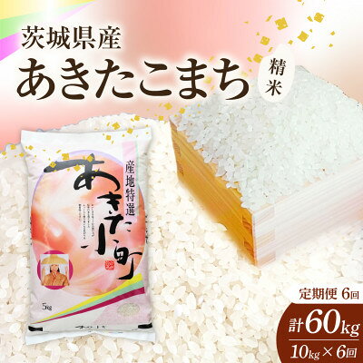 【ふるさと納税】【毎月定期便】【6回定期便】あきたこまち 精米 10kg 全6回【4091802】