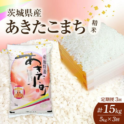 【ふるさと納税】【毎月定期便】【3回定期便】あきたこまち 精米 5kg 全3回【4091803】