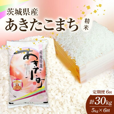 【ふるさと納税】【毎月定期便】【6回定期便】あきたこまち 精米 5kg全6回【4091804】