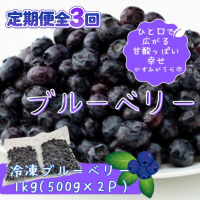 【毎月定期便】冷凍ブルーベリー1kg(500g×2パック)全3回【配送不可地域：離島】【4092938】
