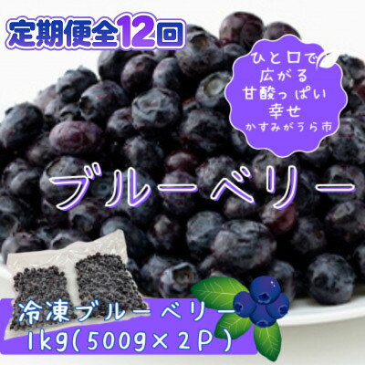 【毎月定期便】冷凍ブルーベリー1kg(500g×2パック)全12回【配送不可地域：離島】【4092940】