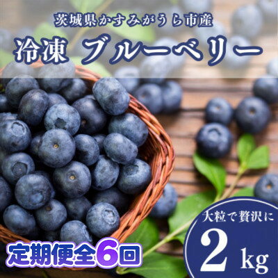 【ふるさと納税】【毎月定期便】冷凍ブルーベリー2kg(500g×4パック)全6回【配送不可地域：離島】【4092942】