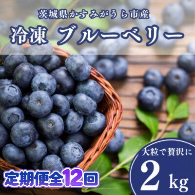 【毎月定期便】冷凍ブルーベリー2kg(500g×4パック)全12回【配送不可地域：離島】【4092943】